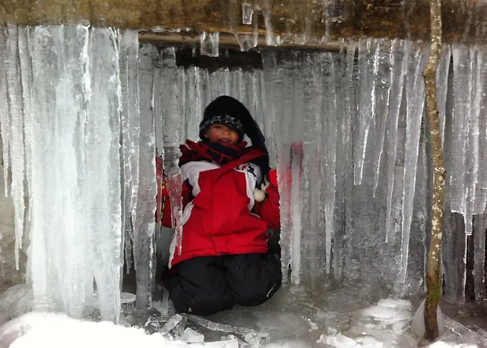 公寓 Eisenhof 阿尔滕马克特蓬高