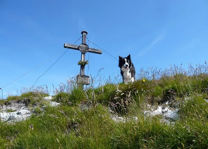 公寓 Eisenhof 阿尔滕马克特蓬高