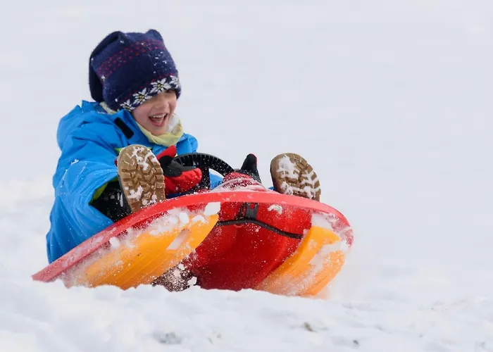 Eisenhof 阿尔滕马克特蓬高
